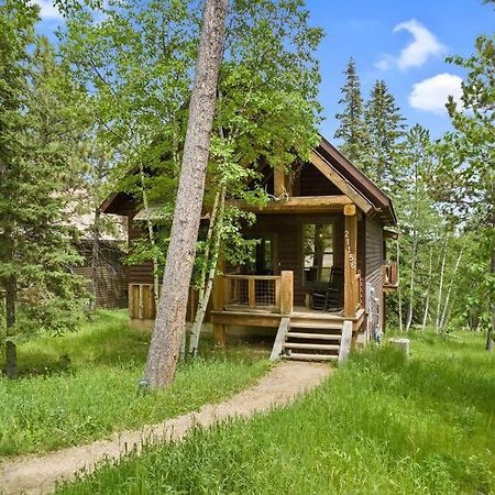 Iron Horse Cabin In Gilded Mountain Villa Lead Exteriör bild